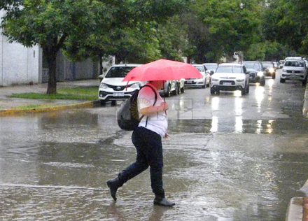 lluvia Resis noviembre 1.JPG