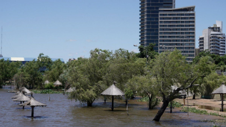 parana.jpg