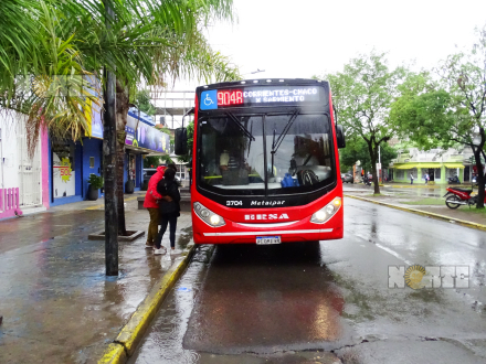 sin colectivos diciembre 5.JPG