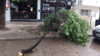 Fuerte tormenta desde la madrugada en Resistencia: con ráfagas de viento de 102 km/hora