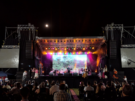 Festival del Taninero 4.JPG