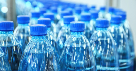botellas de plastico 1.JPG