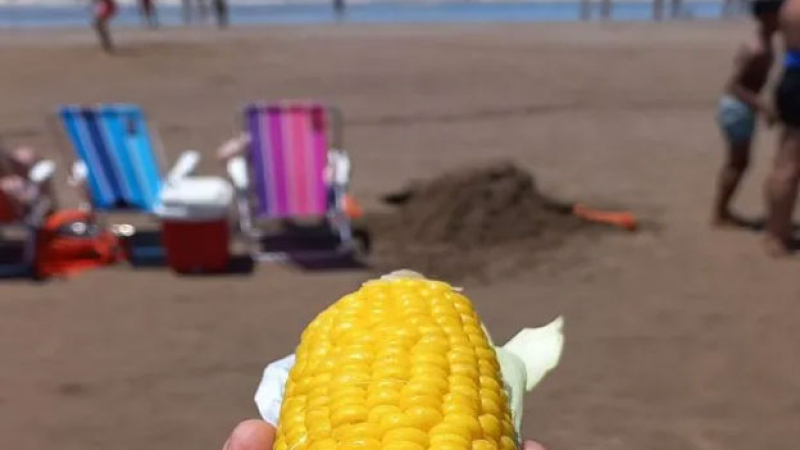 Inédito: bajó el precio del choclo en la playa
