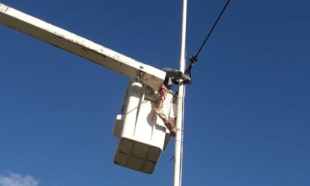 nor170124-005f03.jpg
