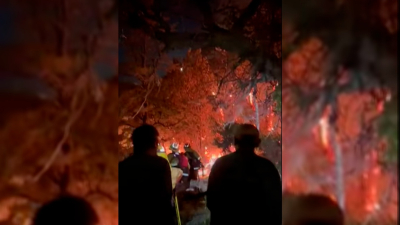 Chubut: incendio en el Parque Los Alerces ya arrasó casi 600 hectáreas