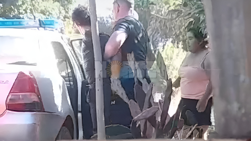 Resistencia: un adolescente ahogó a un perro en una piscina, donde entró a robar