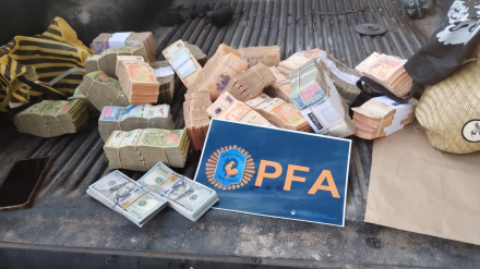 pfa dolares2.jpeg