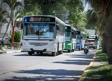 transporte.jpeg