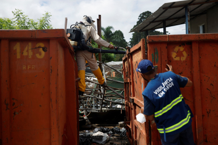 brasil dengue 01.JPG