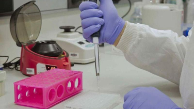 ¿Lo de la crotoxina era cierto? Brasil anuncia avances en investigación similar