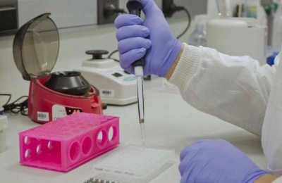 ¿Lo de la crotoxina era cierto? Brasil anuncia avances en investigación similar
