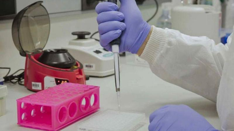 ¿Lo de la crotoxina era cierto? Brasil anuncia avances en investigación similar