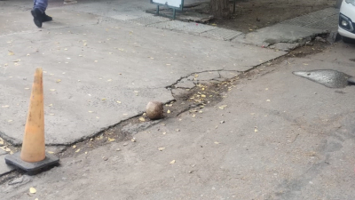 Se encontró con un cráneo en la entrada de un garaje