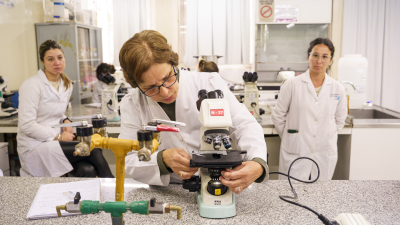 Con una jornada de innovación abierta buscan impulsar el ecosistema emprendedor del NEA