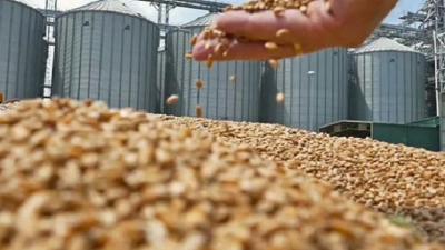 Estiman que las exportaciones agropecuarias caerán un 18%