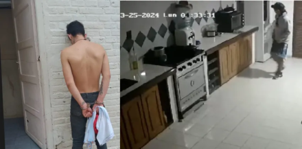 Pichulo.png