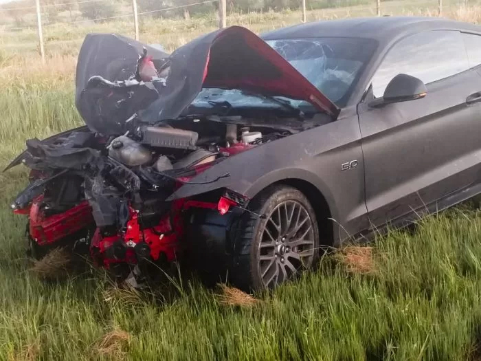 mustang.jpg