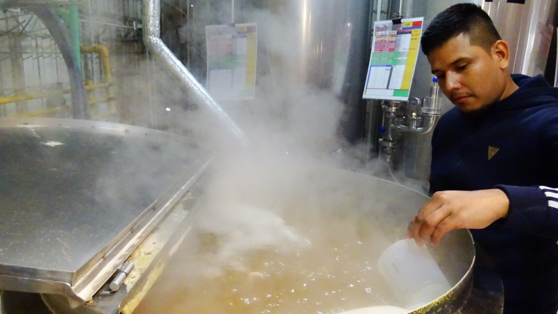 Cervecerías artesanales: "La actualidad y el panorama son malos desde donde se analice"