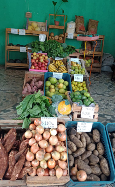 fruta.jpg