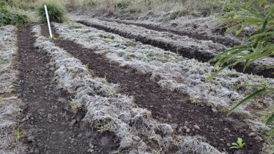 Cayó la primera helada del año en General San Martín