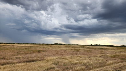 15-R-150-llega la lluvia.jpg