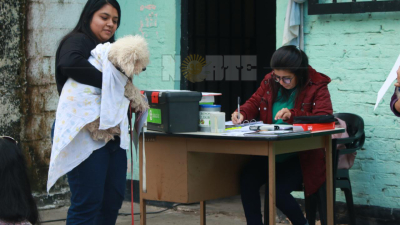 Comienzan las castraciones gratuitas en Villa Río Negro