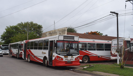 colectivos.jpg