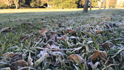 Prevén bajas temperaturas y excelentes condiciones del tiempo hasta el miércoles