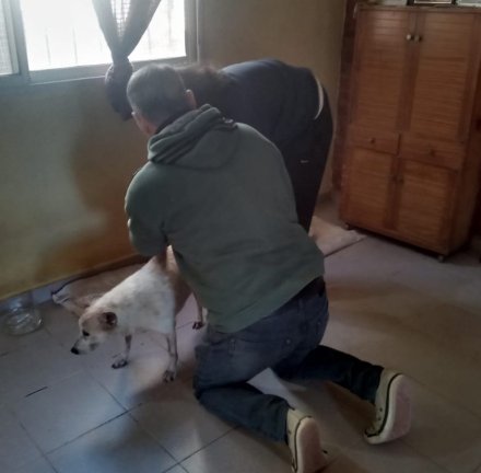 toti1.jpg