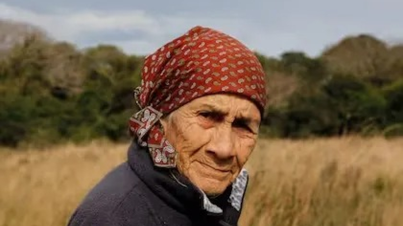 La pericia al celular de la abuela de Loan: 34 llamadas eliminadas y la actividad antes de la desaparición