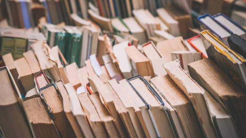 Se viene la primera Feria del Libro usado en Puerto Tirol