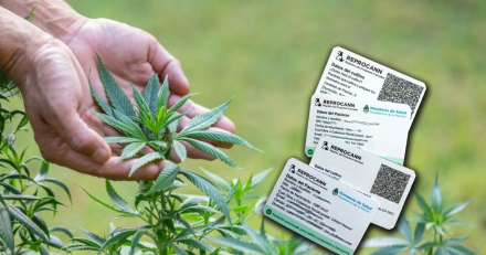 reprocann-cannabis.jpg