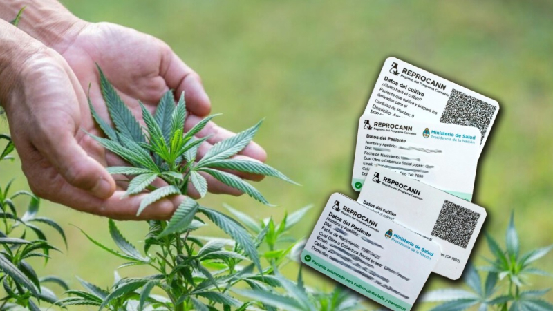 Las modificaciones para la inscripción en el REPROCANN y el cultivo