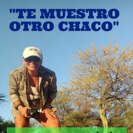 channels4_profile.jpg