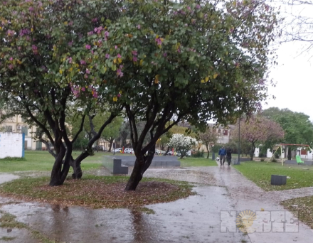 lluvia3.jpg