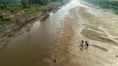 El cambio climático está secando el Amazonas, el mayor río del mundo