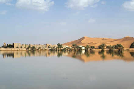 desierto5.jpg
