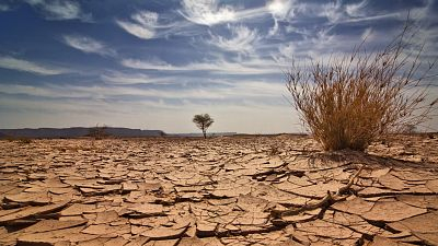 injusticia-cambio climatico sequia.jpg