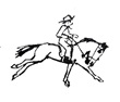 caballito 5.jpg