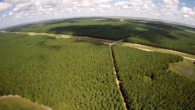 Un tribunal internacional llega a Corrientes para realizar un juicio ambiental
