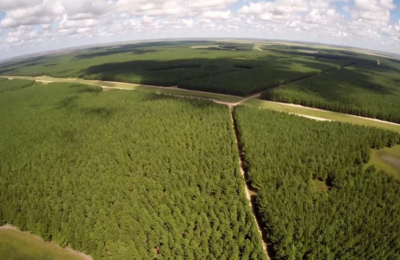 Un tribunal internacional llega a Corrientes para realizar un juicio ambiental