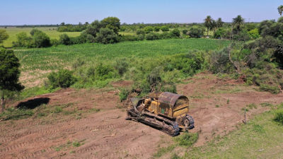 Hasta febrero de 2025 seguirán suspendidos los desmontes en el Chaco
