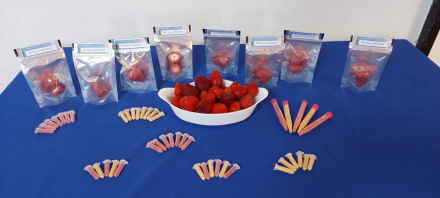 frutos-en-polvo-inta-(2).jpg
