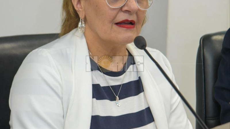 Bisonni: "El veto a la ley de embarazo adolescente abre un espacio para la reflexión y análisis"