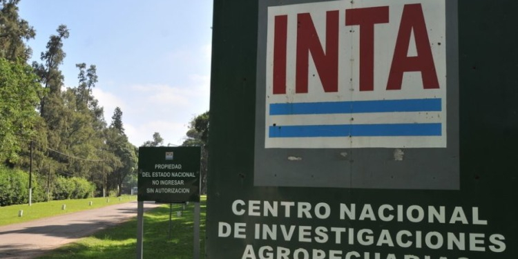 inta-4.jpg