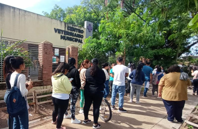 Creció el interés por castrar perros y gatos