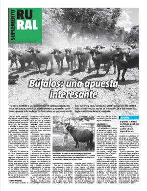 Búfalos: una apuesta interesante