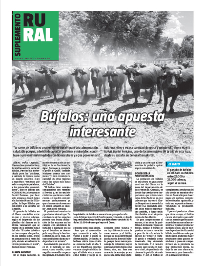 Búfalos: una apuesta interesante