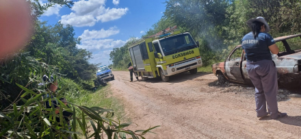 auto dos.jfif