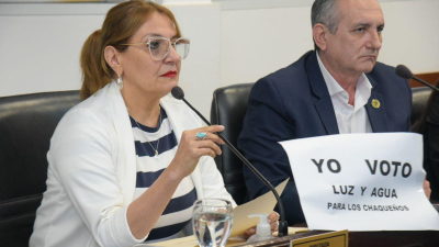 "Eligen la violencia sobre el diálogo", expresaron los legisladores Bisonni y Blasco